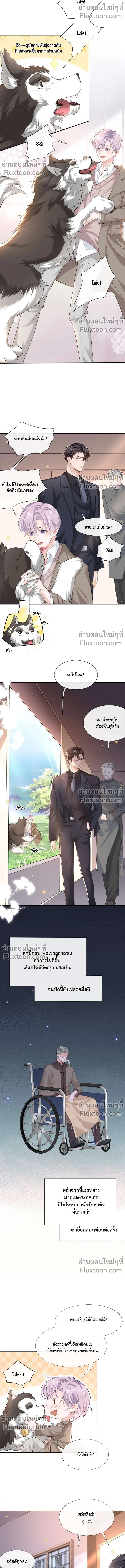 ภาพที่ 4