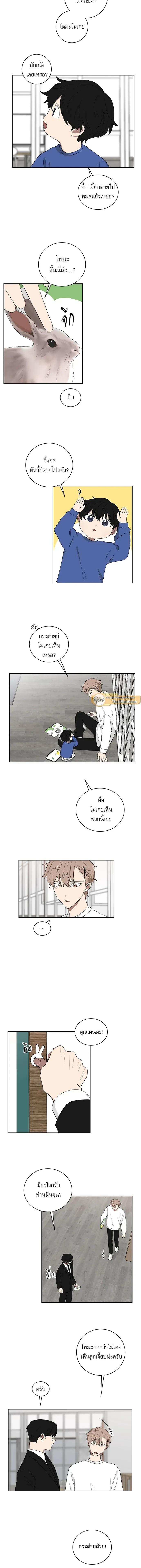 ภาพที่ 4