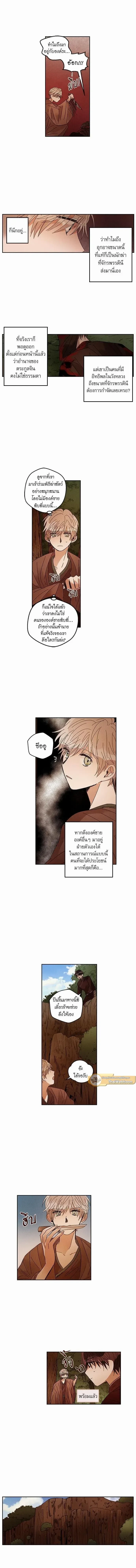 ภาพที่ 3