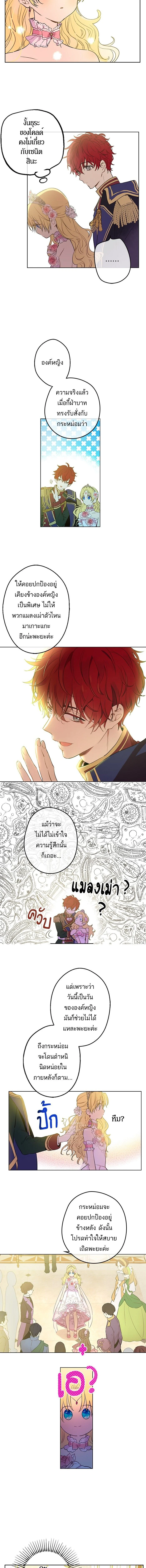 ภาพที่ 3
