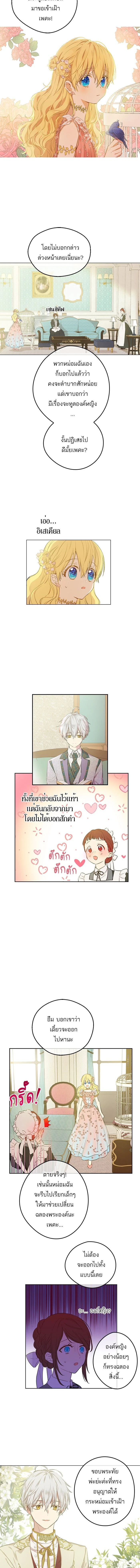 ภาพที่ 4