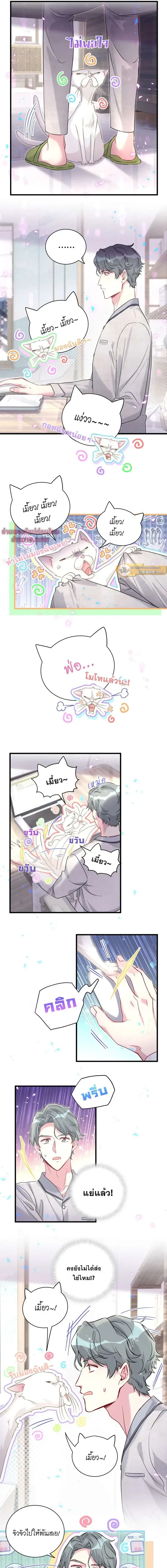 ภาพที่ 2