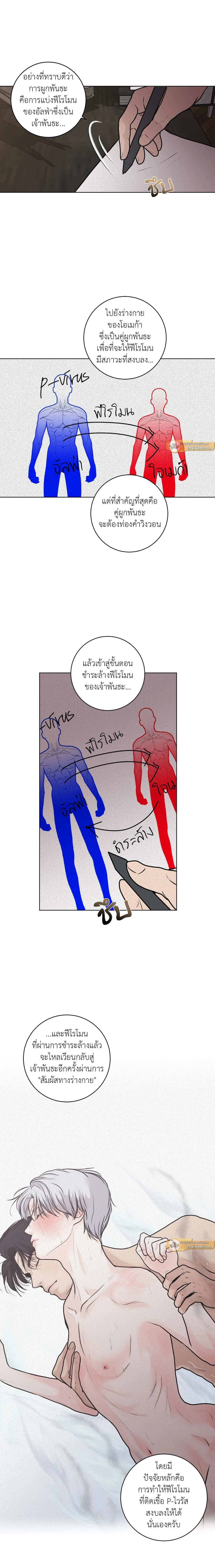 ภาพที่ 3