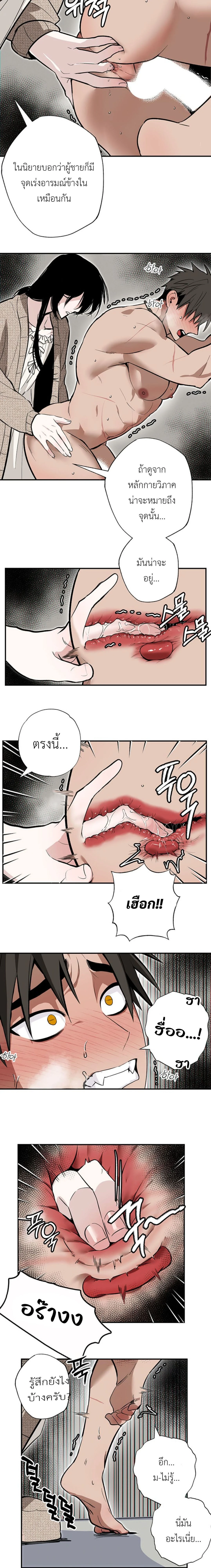 ภาพที่ 3