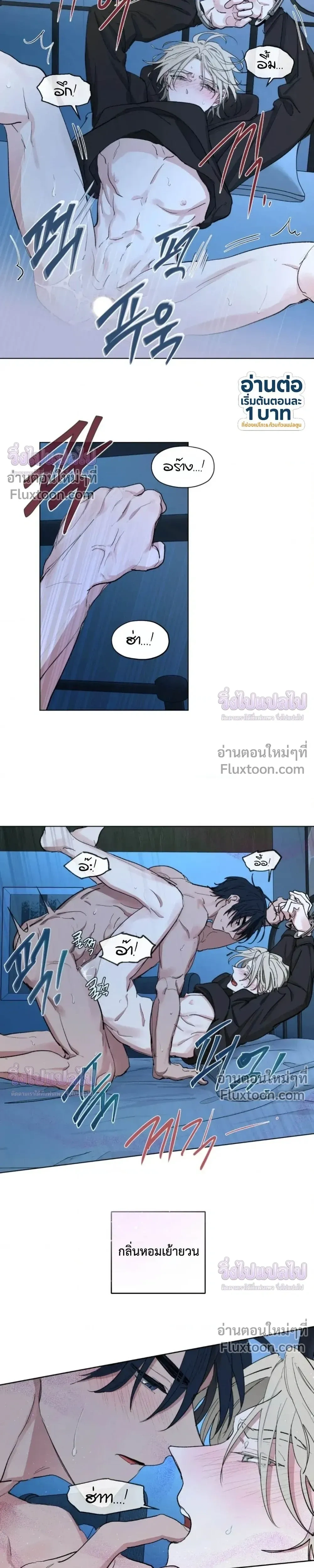 ภาพที่ 3