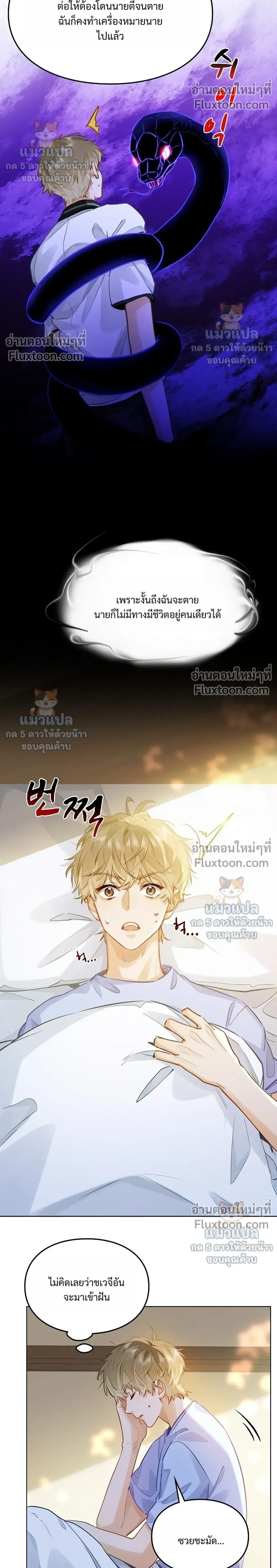 ภาพที่ 4